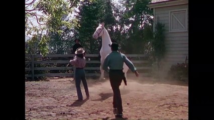 Le Mustang noir Bande-annonce VO