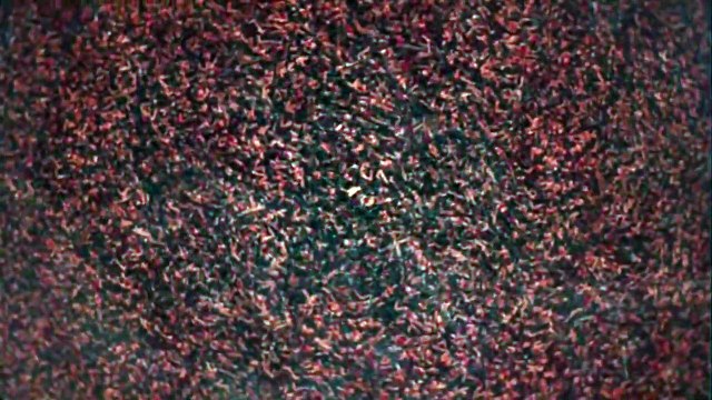 Dracula - saison 1 Teaser VO