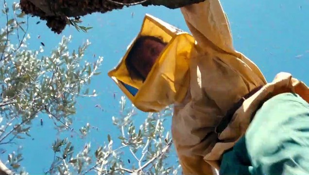 Les Merveilles Bande-annonce VO