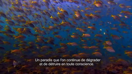 Avant le déluge Bande-annonce VO