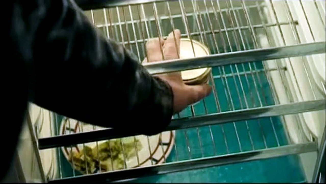 Je vous trouve très beau Bande-annonce VF