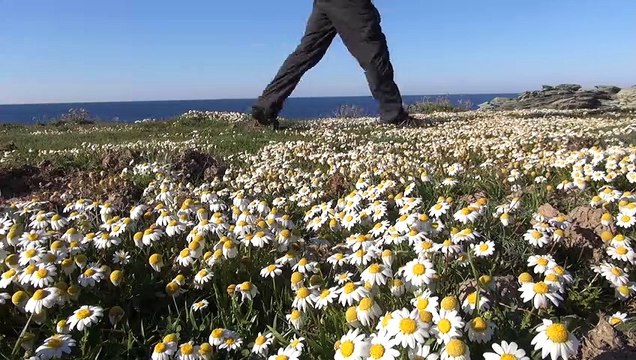 Les îles françaises à pied, En famille, de la Corse au Mont Saint Michel Bande-annonce VF