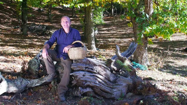 ALTAÏR Conférence - Corse, Grandeur nature Bande-annonce VF