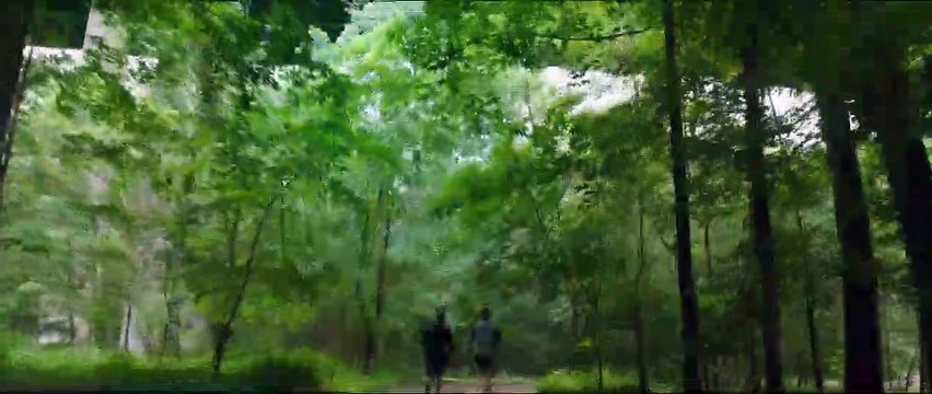 The Signal Bande-annonce VF