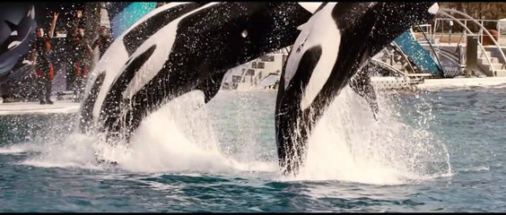 De rouille et d&#039;os Bande-annonce US