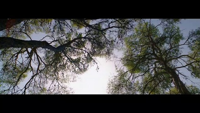 L'Odyssée - EXTRAIT Plongée en famille