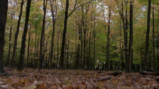 Blacklist - saison 5 - épisode 9 Teaser (2) VO