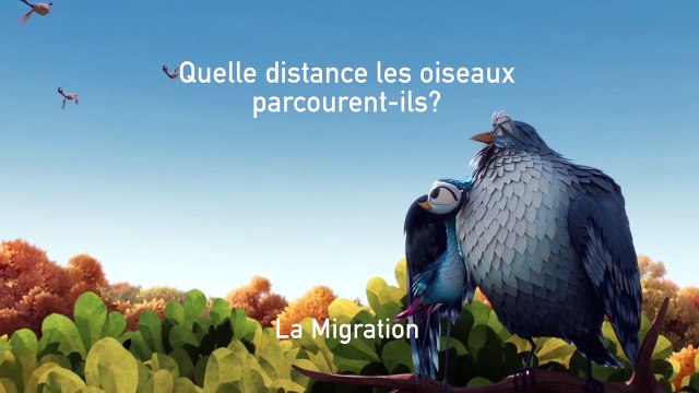 Gus - MAKING OF Quelle distance les oiseaux parcourent-ils ?