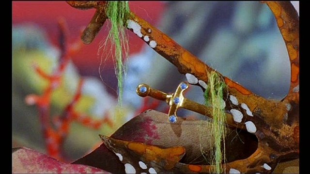 Les Moomins et la chasse à la comète Extrait vidéo VF