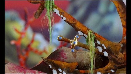 Les Moomins et la chasse à la comète Extrait vidéo VF