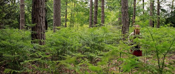 A Pas de Loup Extrait vidéo (2) VF