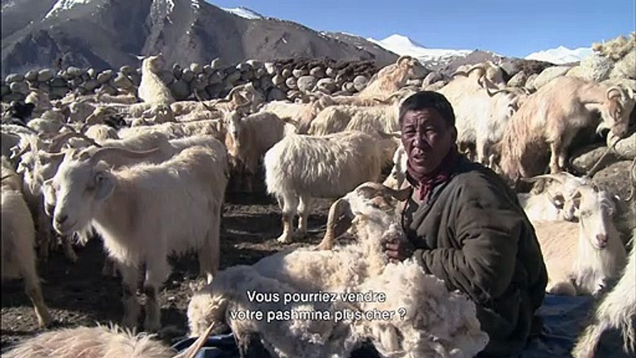 La Nuit Nomade Extrait vidéo VO