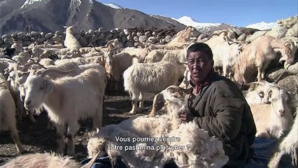 La Nuit Nomade Extrait vidéo VO