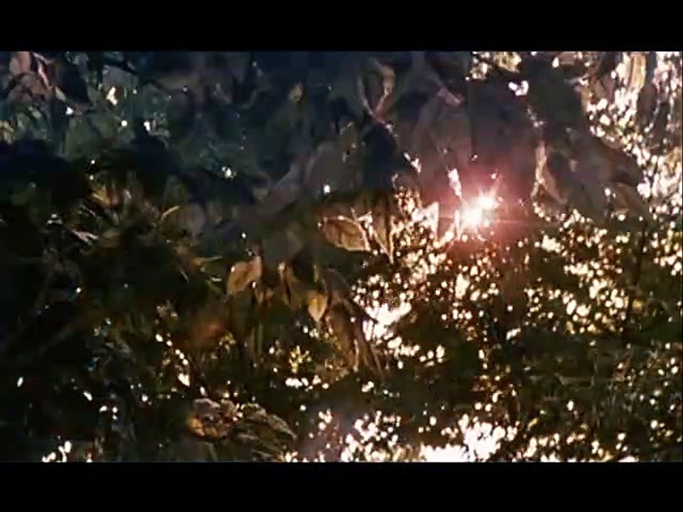 Virgin suicides Bande-annonce VO