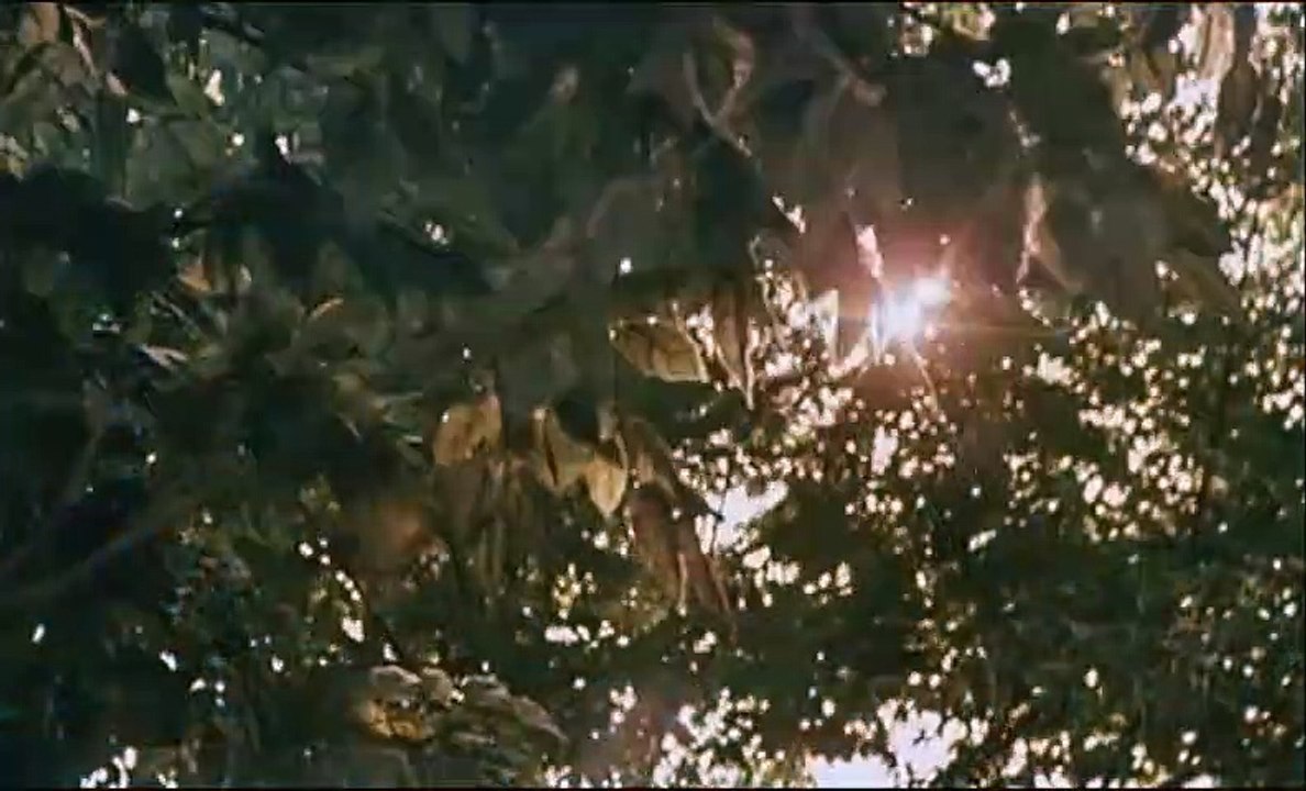 Virgin suicides Bande-annonce VF