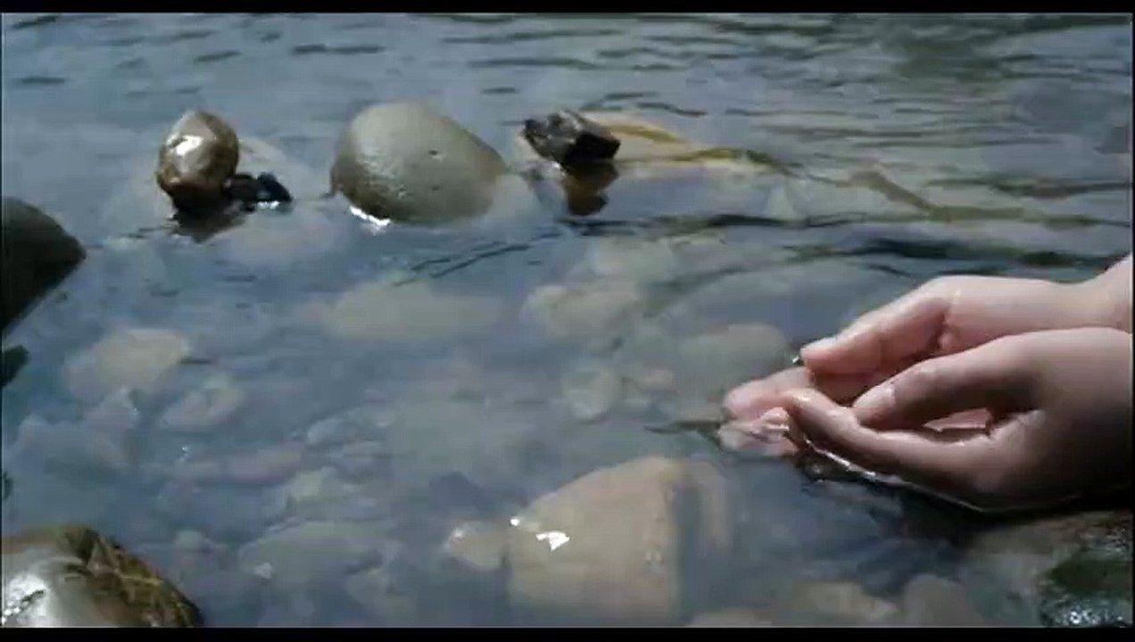 11 fleurs Extrait vidéo (3) VO