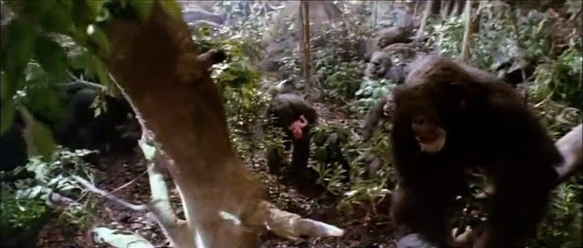 Greystoke, la légende de Tarzan Bande-annonce VO