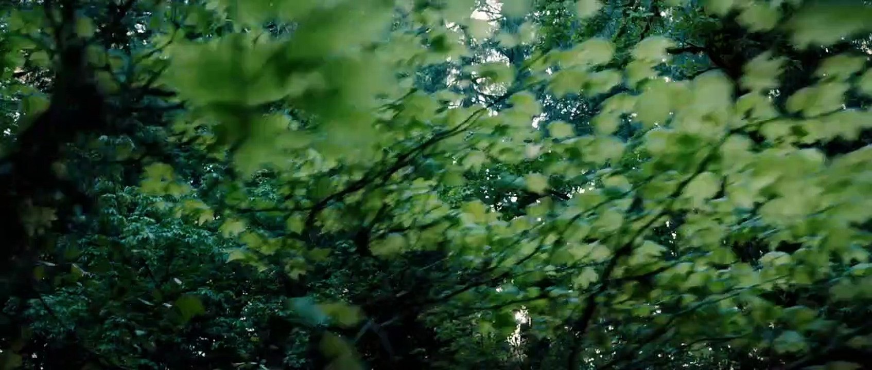 Disparue Bande-annonce VF