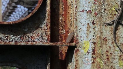 Fascism Inc. Teaser VO