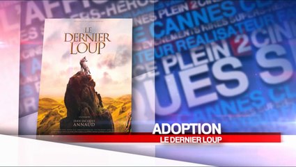 Les films du 25 février