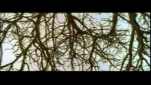 Little Senegal Teaser VO