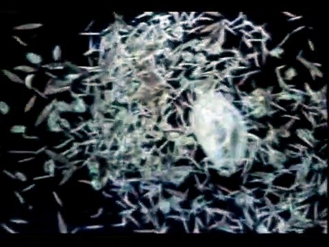 Origine ocean quatre milliards d'annees sous les mers Bande-annonce VF