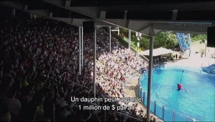 The Cove - La Baie de la honte Bande-annonce VO