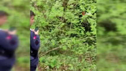 Çay bahçesinde çalışırken uçuruma yuvarlandı, hayatını kaybetti