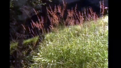 Histoires de l&#039;autre monde Extrait vidéo VO