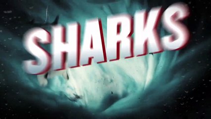 Sharknado 3 : David Hassehoff en guest star !