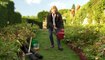 Great British Garden Revival episode 8