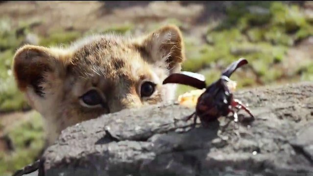 La bande-annonce vidéo du Roi Lion en version live-action. QUIZ Le Roi Lion, Cendrillon, Aladdin... Connais-tu les secrets des remakes Disney ?