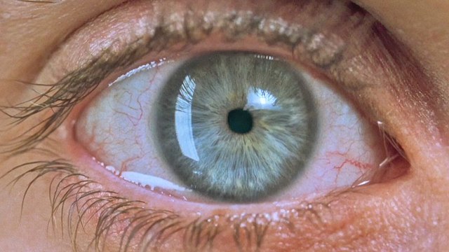 Requiem for a Dream Bande-annonce VO STFR