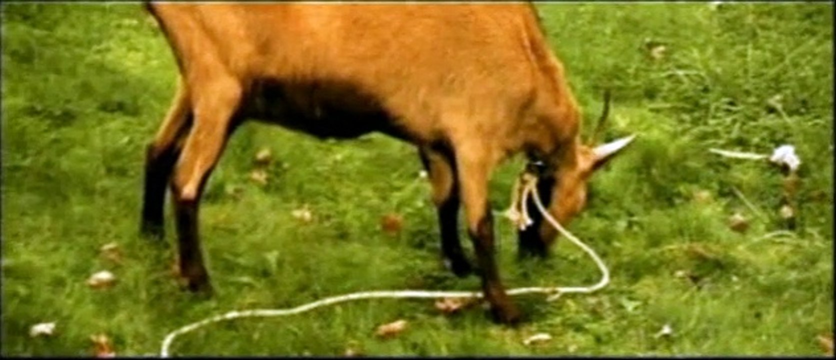 Grégoire Moulin contre l'humanité Bande-annonce VF