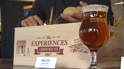 맥주부터 빵까지...감자의 변신은 '무죄' / YTN