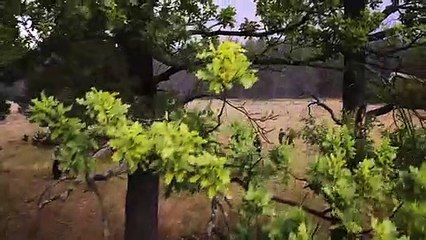 La Légende de Viy Bande-annonce (3) VO