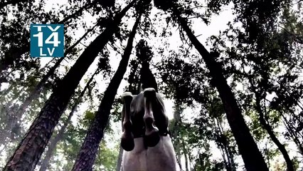 Sleepy Hollow - saison 1 - épisode 8 Teaser VO