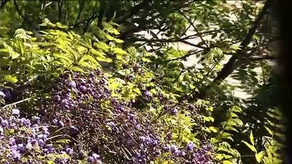 Le Monde en un jardin Bande-annonce VF