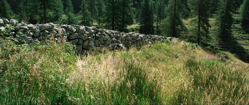 Minuscule - EXTRAIT Incident de parcours