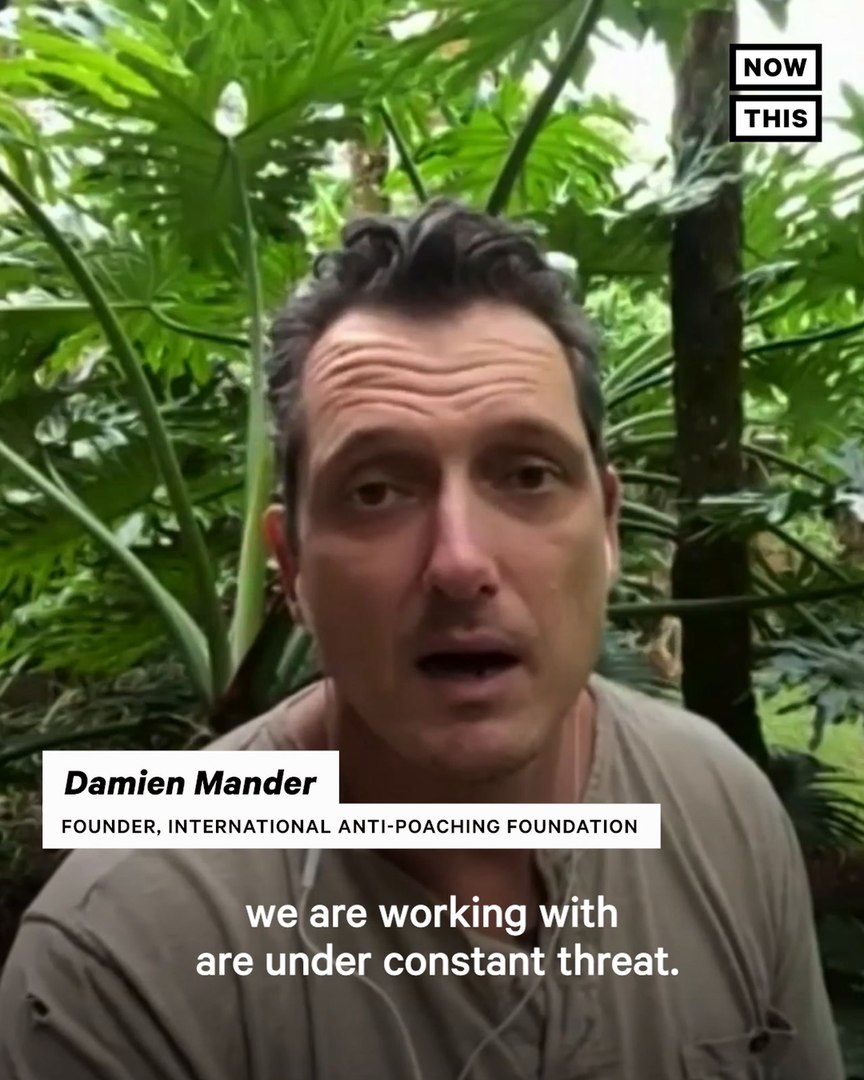 ⁣Animal Agriculture Linked to Endangered Species Losing Homes