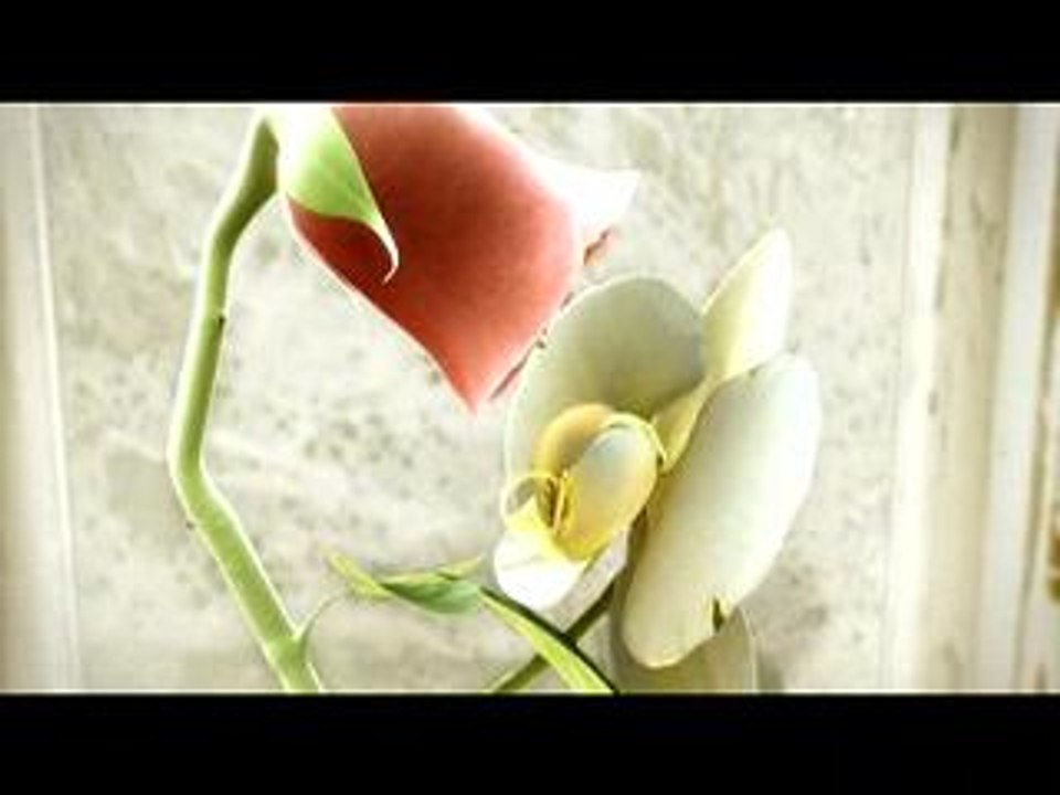 l'orchidée et la rose
