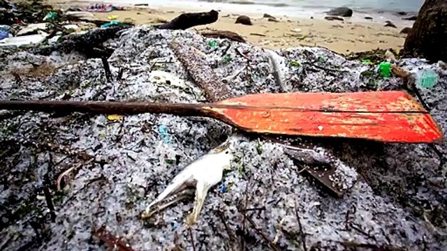 A Plastic Ocean Bande-annonce VO