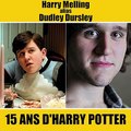 15 ans d'Harry Potter