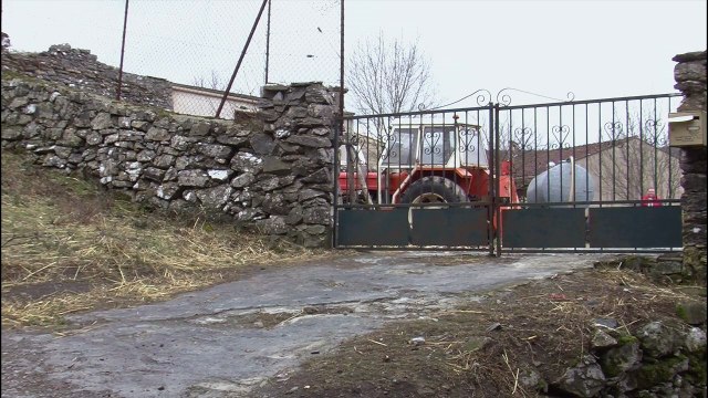 La Cigale, le corbeau et les poulets EXTRAIT VF Le boucher