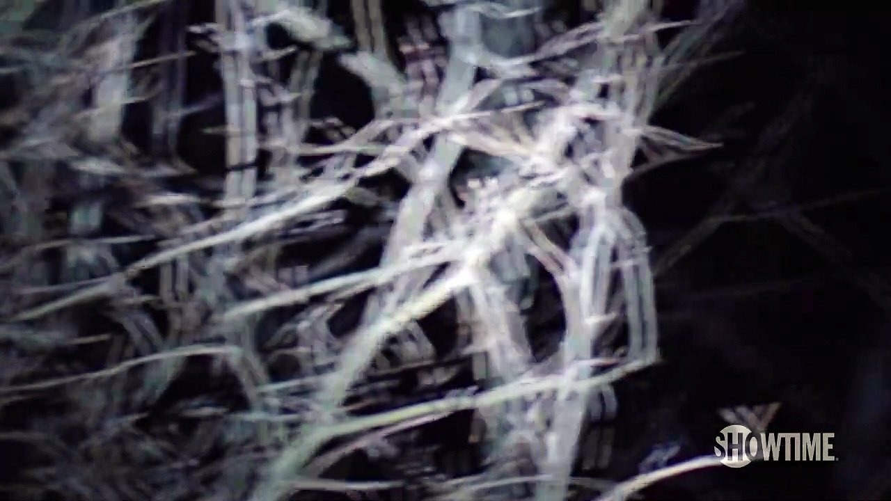 Mystères à Twin Peaks - saison 3 Teaser "Agent Dale Cooper" VO