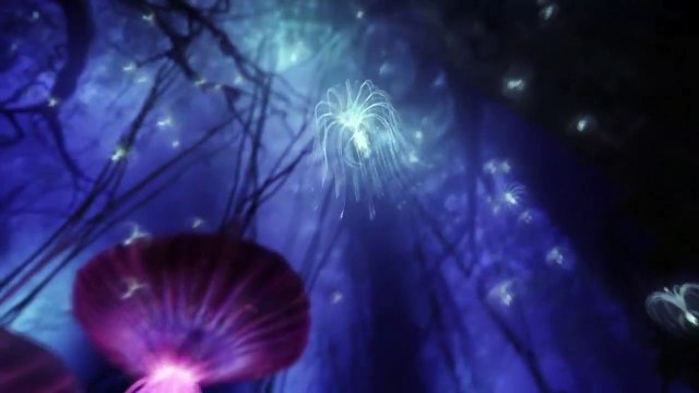 Na’vi River Journey | Pandora - The World of Avatar