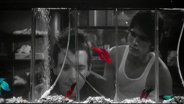 Rusty James EXTRAIT VO Poissons combattants