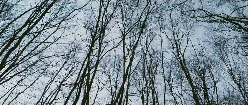 Brimstone EXTRAIT VO Il n'arrêtera jamais