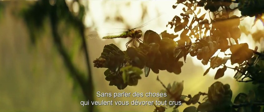 Kong: Skull Island Bande-annonce finale VO