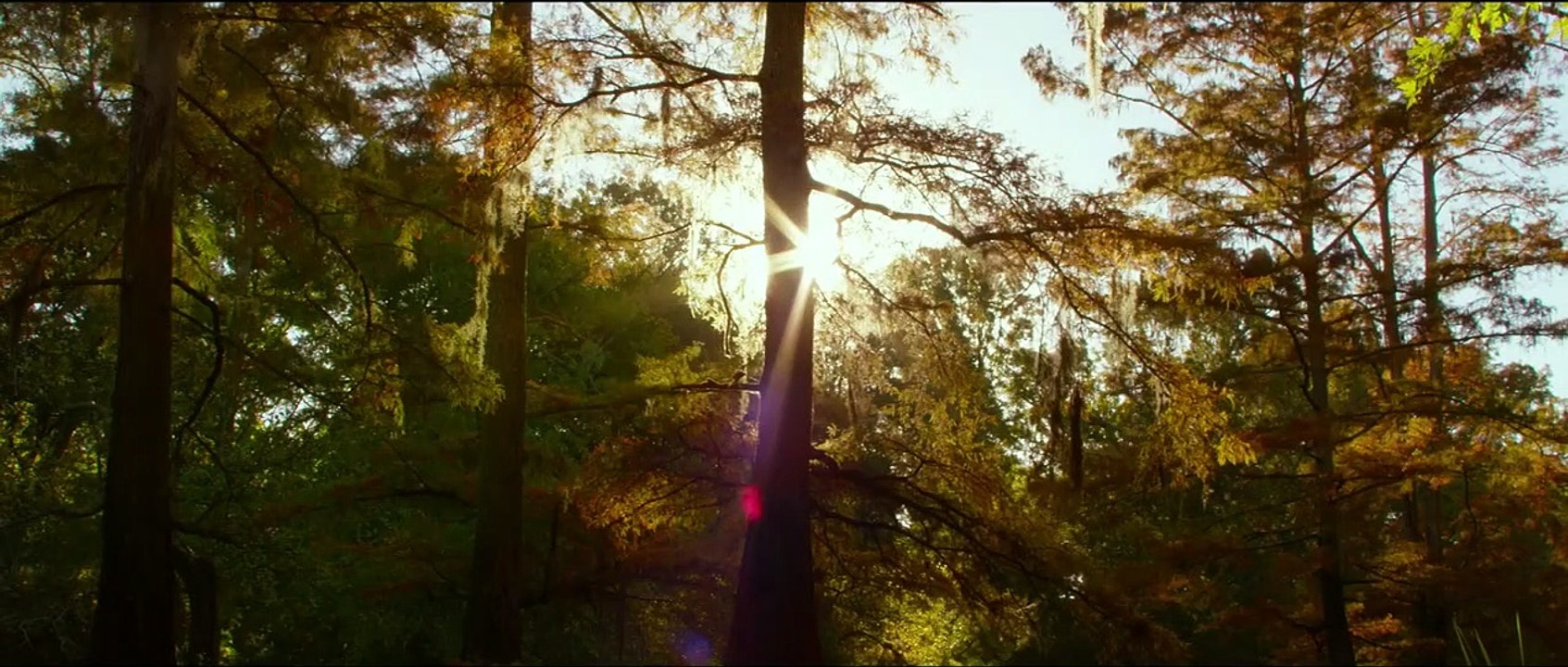 Ces différences qui nous rapprochent Bande-annonce (3) VO